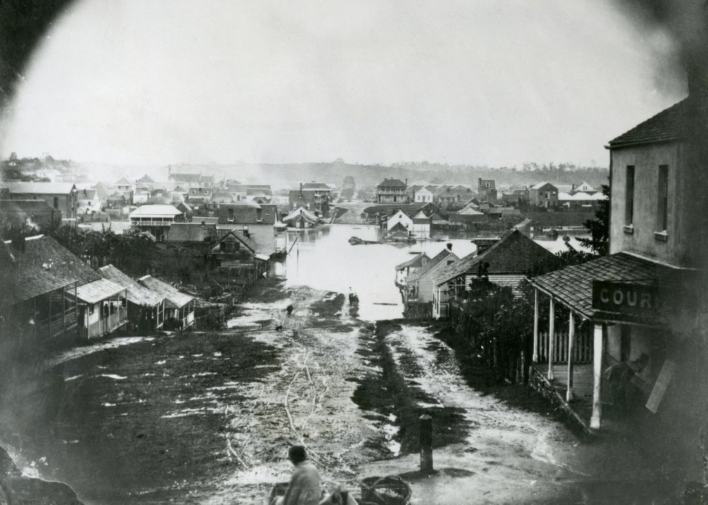 Frog S Hollow Stories From The Archives